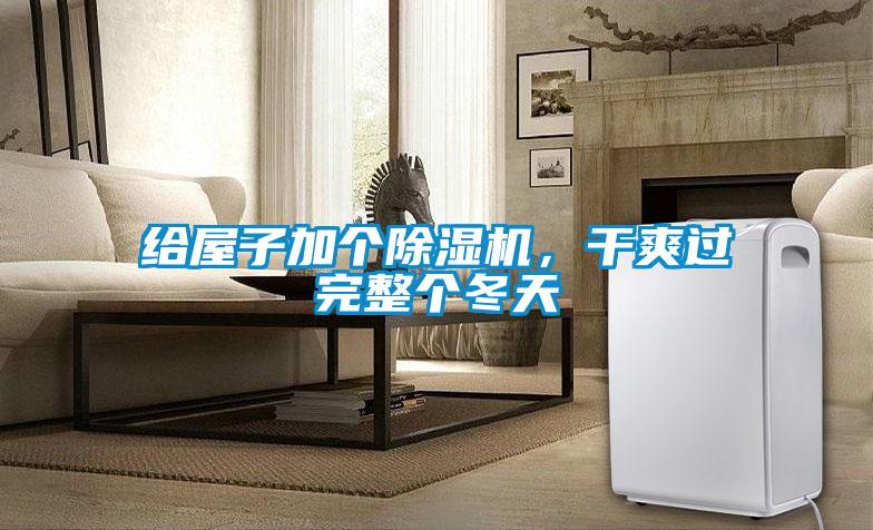 給屋子加個除濕機，干爽過完整個冬天