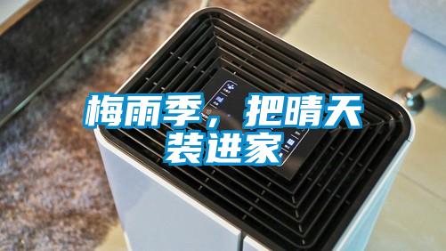 梅雨季，把晴天裝進家