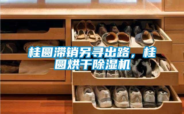 桂圓滯銷(xiāo)另尋出路，桂圓烘干除濕機(jī)