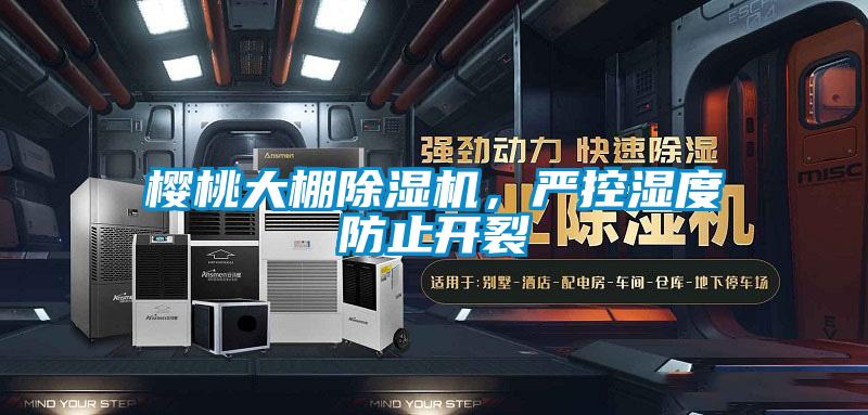 櫻桃大棚除濕機(jī)，嚴(yán)控濕度防止開裂