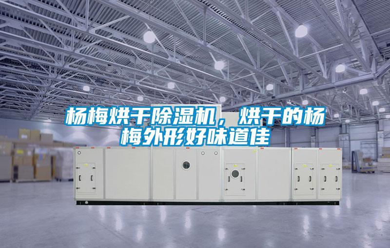 楊梅烘干除濕機，烘干的楊梅外形好味道佳