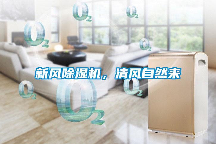 新風除濕機，清風自然來