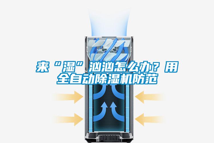 來“濕”洶洶怎么辦？用全自動(dòng)除濕機(jī)防范