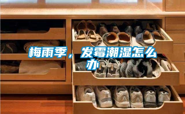 梅雨季，發(fā)霉潮濕怎么辦