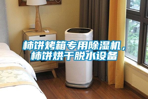 柿餅烤箱專用除濕機，柿餅烘干脫水設備