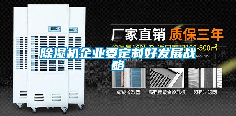 除濕機企業要定制好發展戰略
