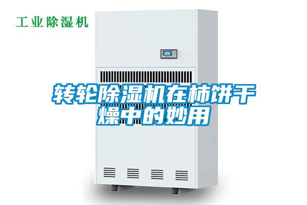 轉輪除濕機在柿餅干燥中的妙用