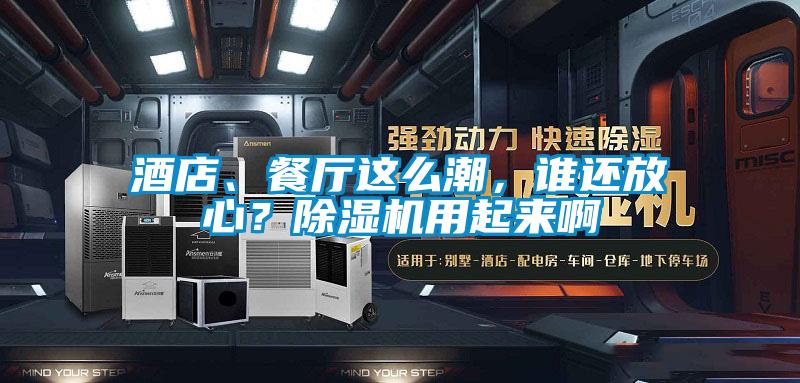 酒店、餐廳這么潮，誰還放心？除濕機(jī)用起來啊