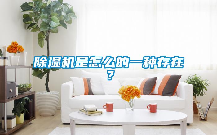除濕機是怎么的一種存在？