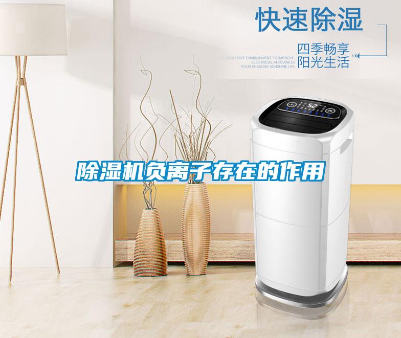 除濕機負離子存在的作用