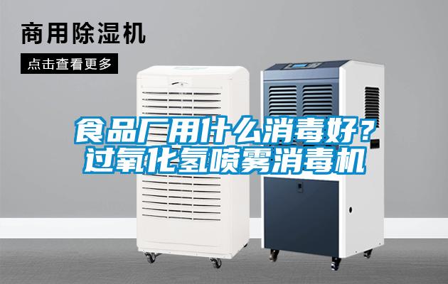 食品廠用什么消毒好？過氧化氫噴霧消毒機