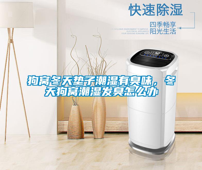 狗窩冬天墊子潮濕有臭味，冬天狗窩潮濕發(fā)臭怎么辦
