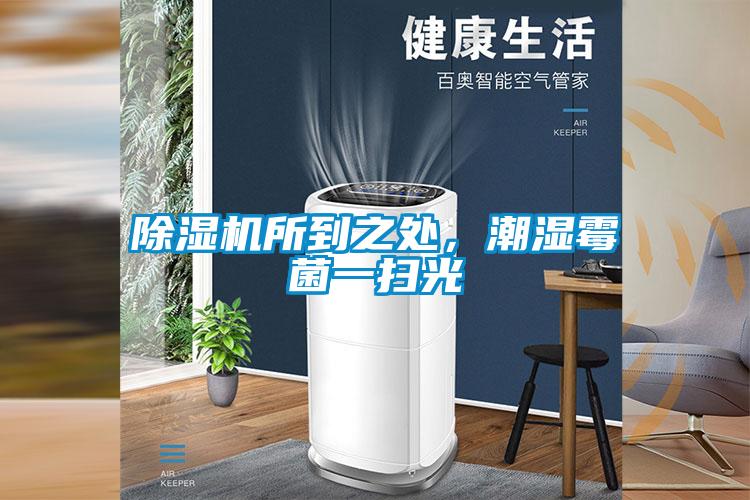 除濕機所到之處，潮濕霉菌一掃光