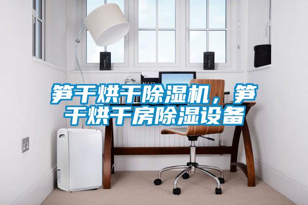 筍干烘干除濕機，筍干烘干房除濕設(shè)備