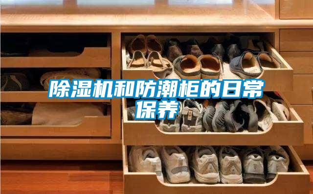 除濕機和防潮柜的日常保養