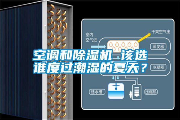 空調和除濕機 該選誰度過潮濕的夏天？