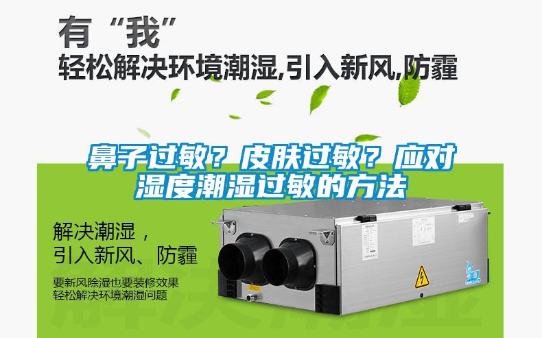 鼻子過敏？皮膚過敏？應對濕度潮濕過敏的方法