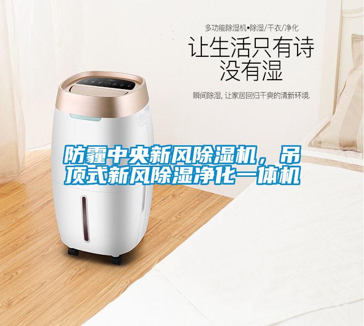 防霾中央新風除濕機，吊頂式新風除濕凈化一體機