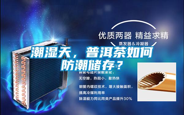 潮濕天，普洱茶如何防潮儲(chǔ)存？