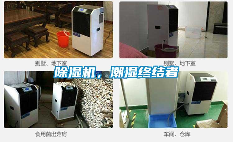 除濕機，潮濕終結者