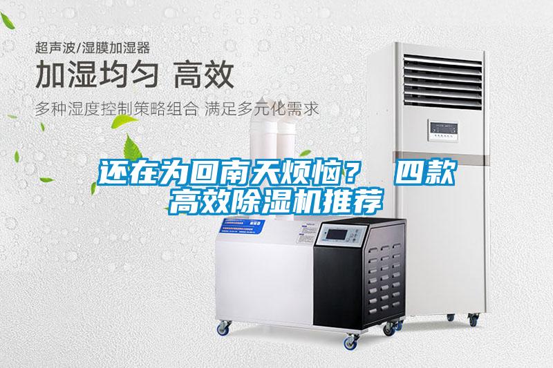 還在為回南天煩惱？ 四款高效除濕機推薦