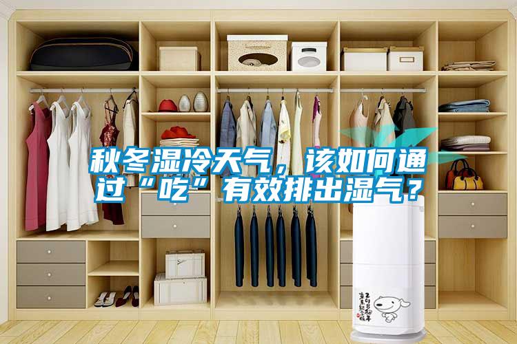 秋冬濕冷天氣，該如何通過(guò)“吃”有效排出濕氣？