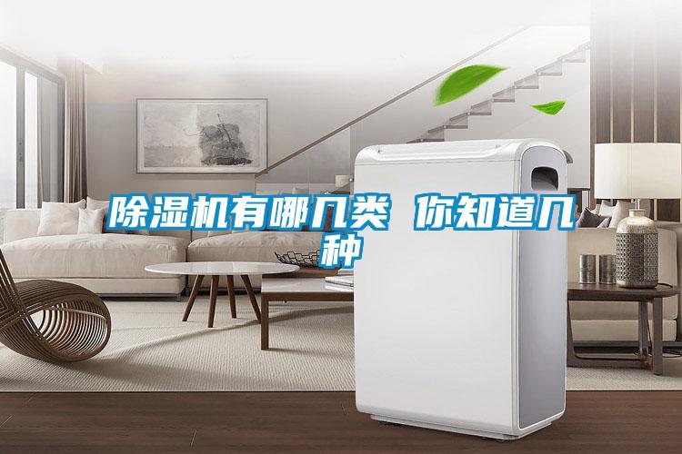 除濕機(jī)有哪幾類(lèi) 你知道幾種