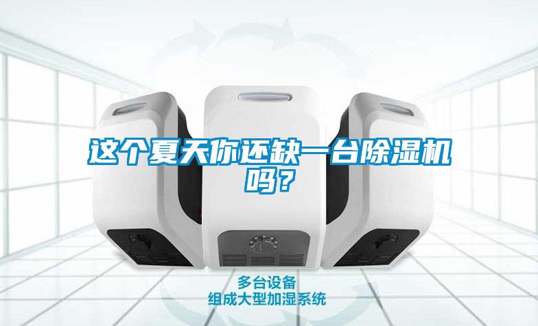這個夏天你還缺一臺除濕機嗎？