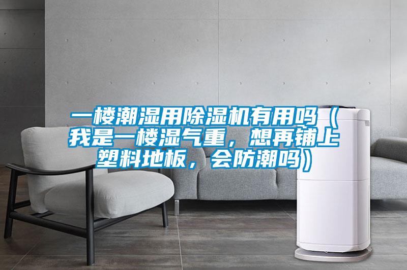 一樓潮濕用除濕機有用嗎（我是一樓濕氣重，想再鋪上塑料地板，會防潮嗎）