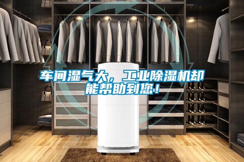 車間濕氣大，工業除濕機卻能幫助到您！