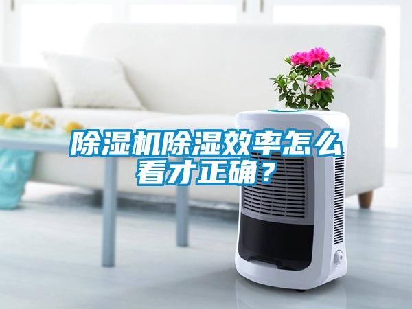 除濕機除濕效率怎么看才正確？