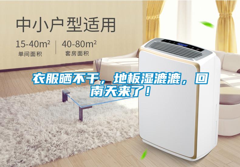 衣服曬不干，地板濕漉漉，回南天來了！