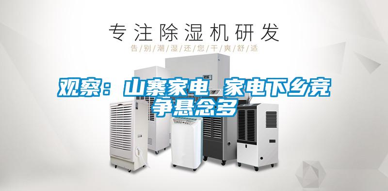 觀察：山寨家電 家電下鄉(xiāng)競(jìng)爭(zhēng)懸念多