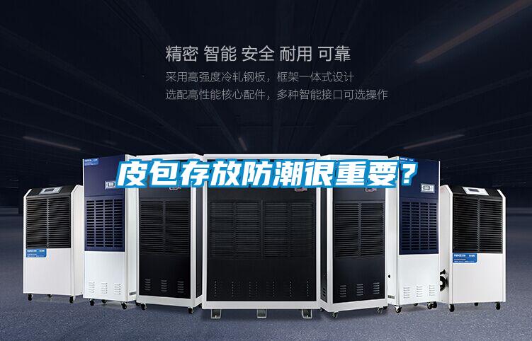 皮包存放防潮很重要？