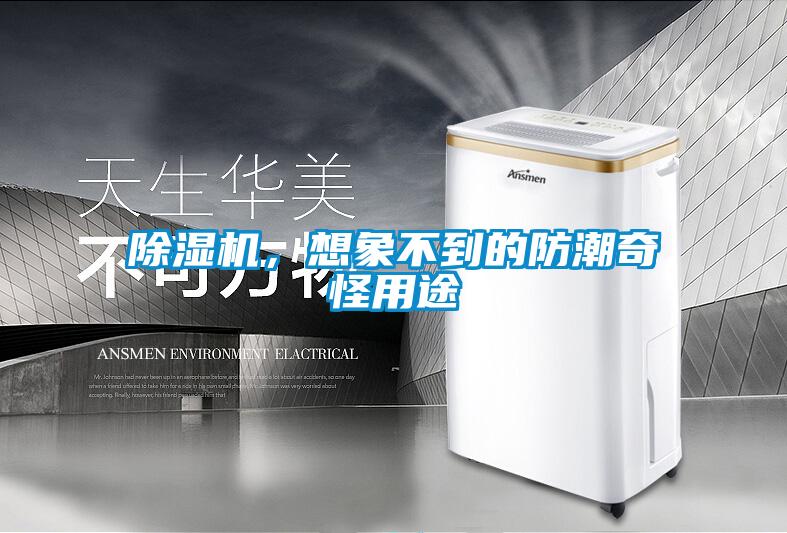 除濕機，想象不到的防潮奇怪用途