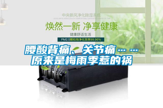 腰酸背痛、關節痛……原來是梅雨季惹的禍