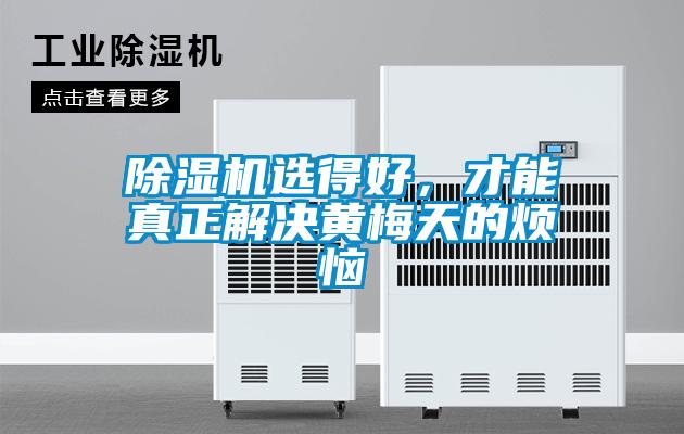 除濕機選得好，才能真正解決黃梅天的煩惱