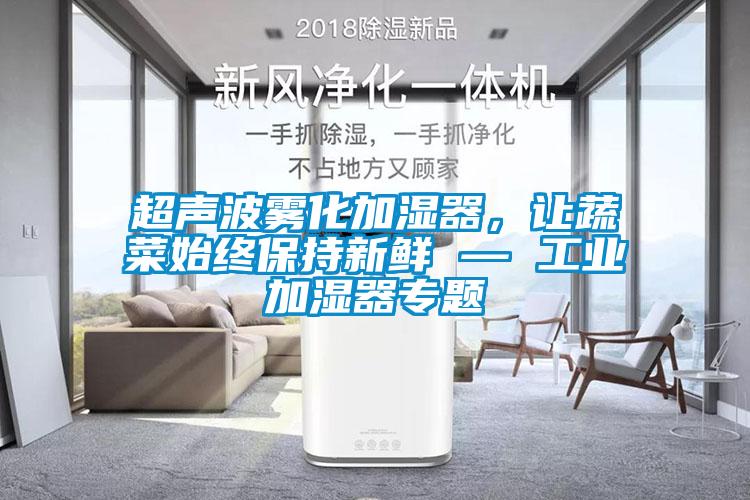 超聲波霧化加濕器，讓蔬菜始終保持新鮮 — 工業加濕器專題