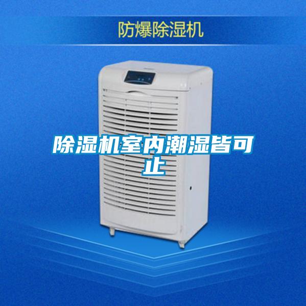 除濕機室內潮濕皆可止
