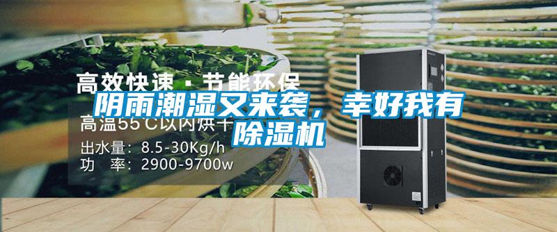 陰雨潮濕又來襲，幸好我有除濕機