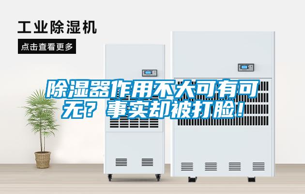 除濕器作用不大可有可無？事實卻被打臉！