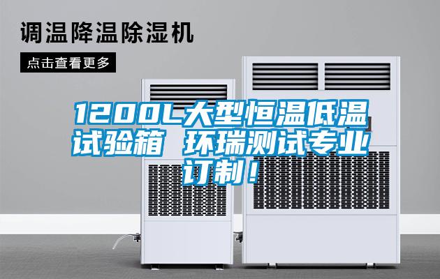 1200L大型恒溫低溫試驗(yàn)箱 環(huán)瑞測(cè)試專業(yè)訂制！