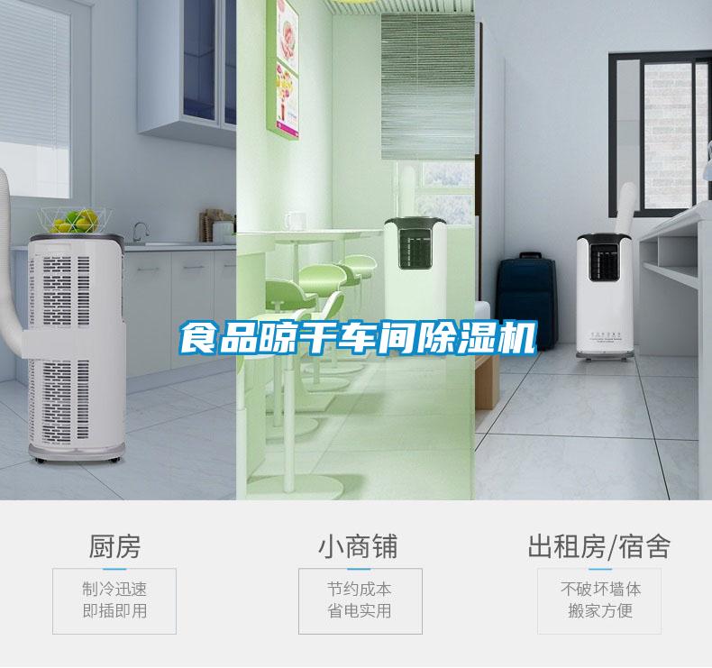 食品晾干車間除濕機