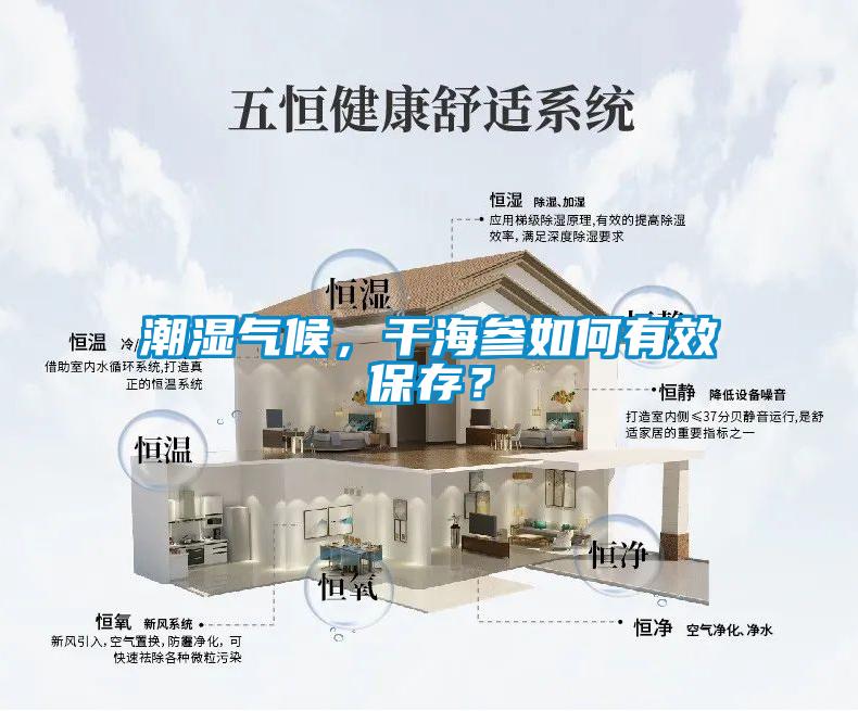 潮濕氣候，干海參如何有效保存？