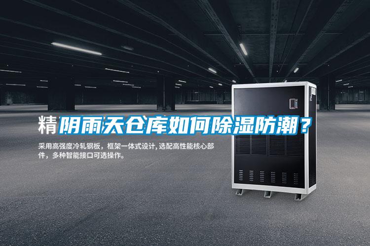 陰雨天倉庫如何除濕防潮？