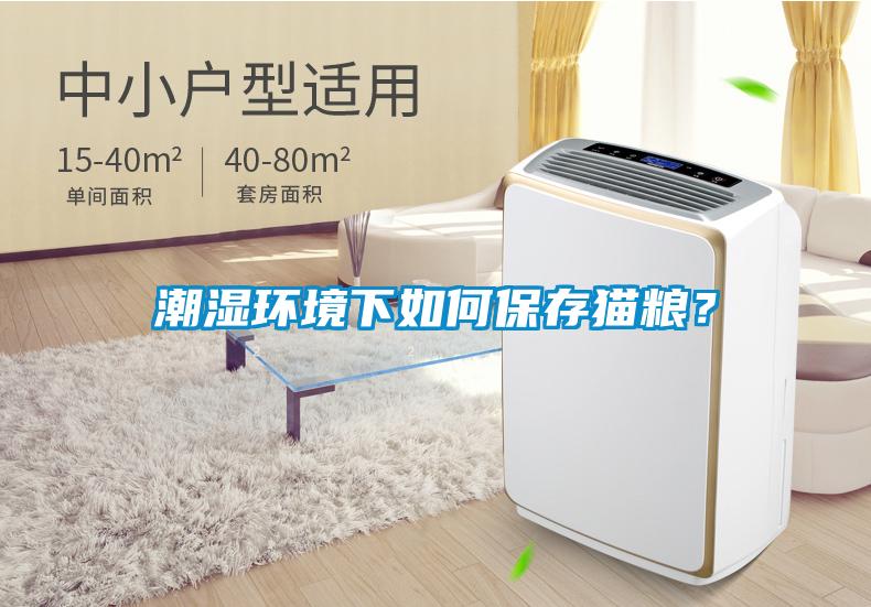 潮濕環境下如何保存貓糧？