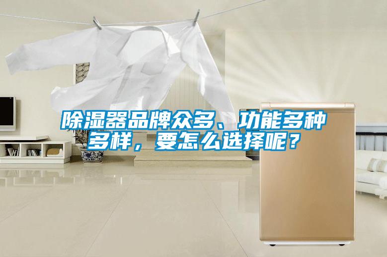 除濕器品牌眾多、功能多種多樣，要怎么選擇呢？