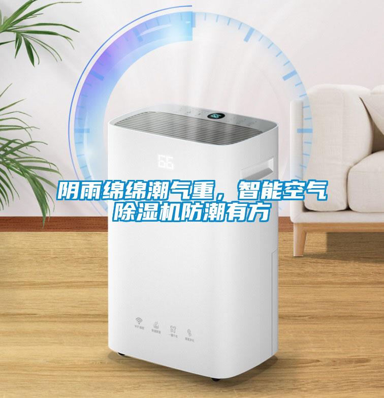 陰雨綿綿潮氣重，智能空氣除濕機防潮有方