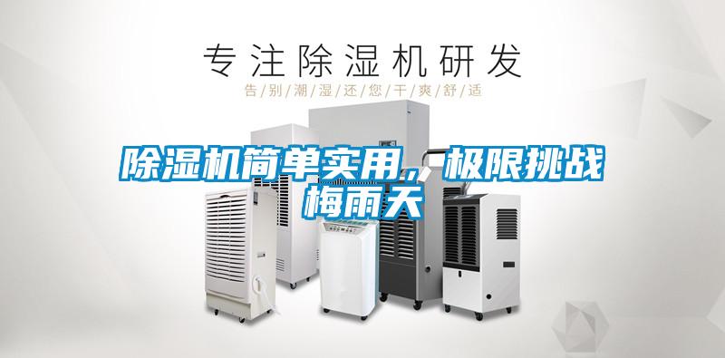 除濕機簡單實用，極限挑戰梅雨天