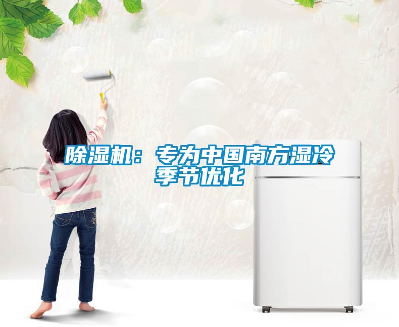 除濕機：專為中國南方濕冷季節優化